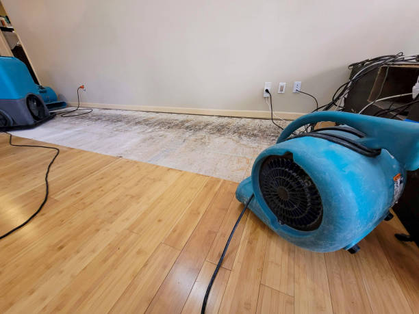 Professional Structural Drying technician working in Moncure, NC